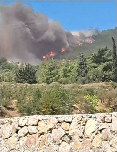 Antakya’da Yangın Alarmı! Alevler Yerleşimlere Yaklaştı