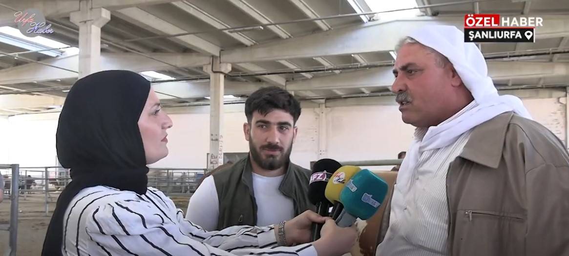 Urfa’da Kurbanlık Krizi: Ne Alıcı Memnun Ne Satıcı!