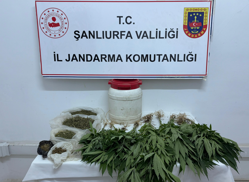 Suruç'ta Uyuşturucu Operasyonu !