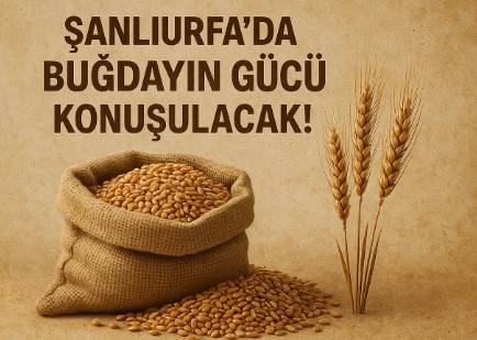 Şanlıurfa’da Buğdayın Gücü Konuşulacak!