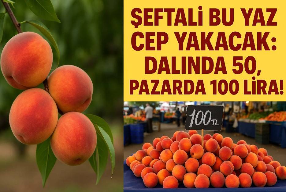 Şeftali Bu Yaz Cep Yakacak!
