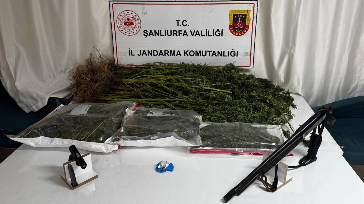 Şanlıurfa'da Uyuşturucu Operasyonu: 1 Gözaltı