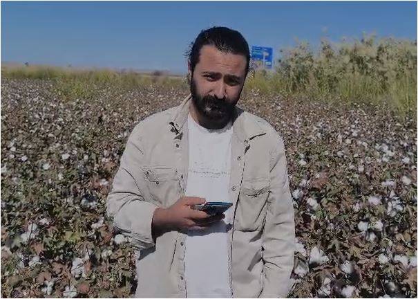 Şanlıurfa’da Mühendislerden Çağrı: Pamuk 35 TL Olmalı
