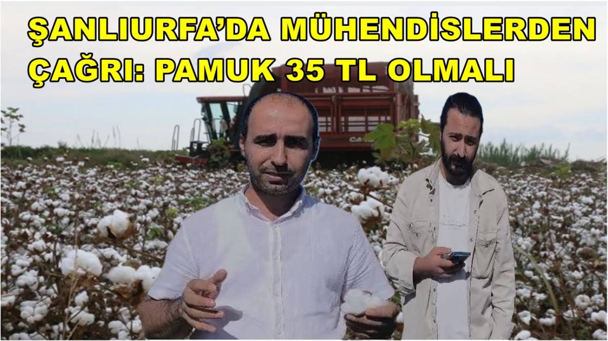 Şanlıurfa’da Mühendislerden Çağrı: Pamuk 35 TL Olmalı