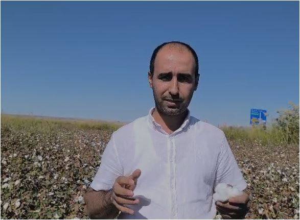 Şanlıurfa’da Mühendislerden Çağrı: Pamuk 35 TL Olmalı