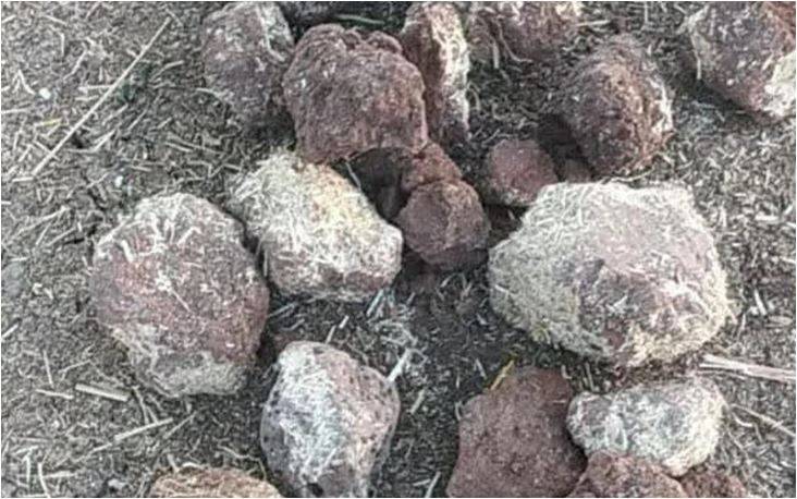 Üretici: Bizim insanlar Niye Bu Kadar Haram Yer Oldu?”