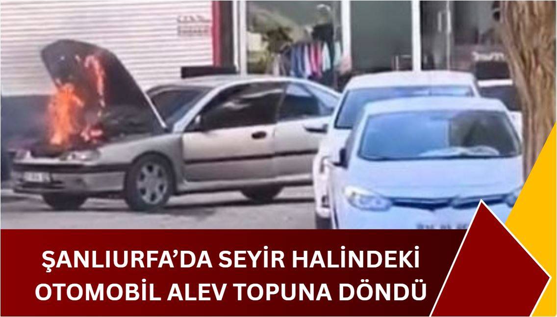 Şanlıurfa'da Araç Alev Aldı!