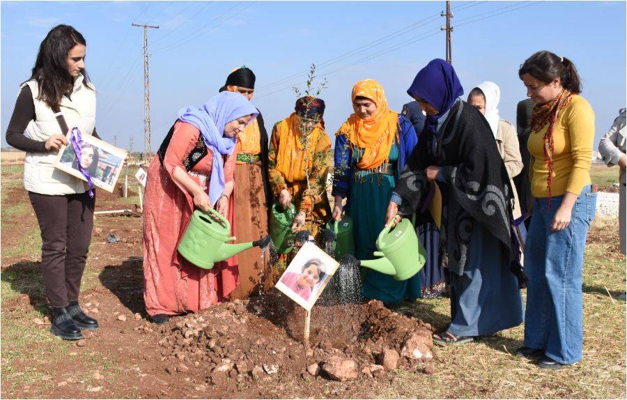 Şanlıurfa Kadın Dayanışması Fidanlarla Yeşerdi