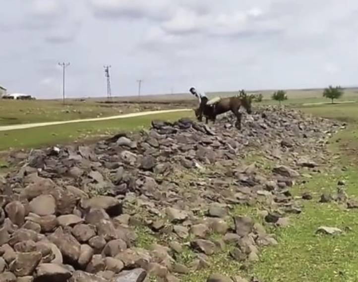 Şanlıurfa'da ilginç Anlar Kameraya Yansıdı