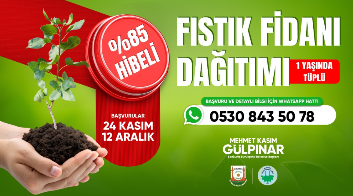 Şanlıurfa’da Çiftçiye Müjde! Fıstık Fidanı Desteği Başladı