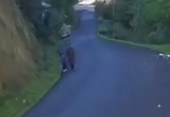 Son Dakika.Gizemli Kayıpta Dikkat Çeken Narin Güran Detayı!