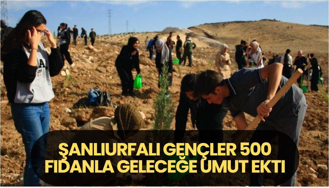 Şanlıurfalı Gençler 500 Fidanla Geleceğe Umut Ekti
