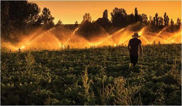 Çiftçilere Uyarı: ÇKS Başvurularında Son Günler