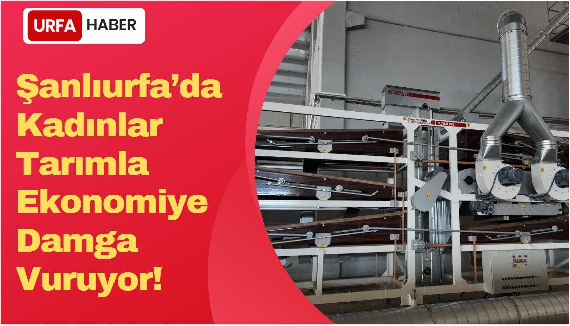 Şanlıurfa’da Kadınlar Tarımla Ekonomiye Damga Vuruyor!