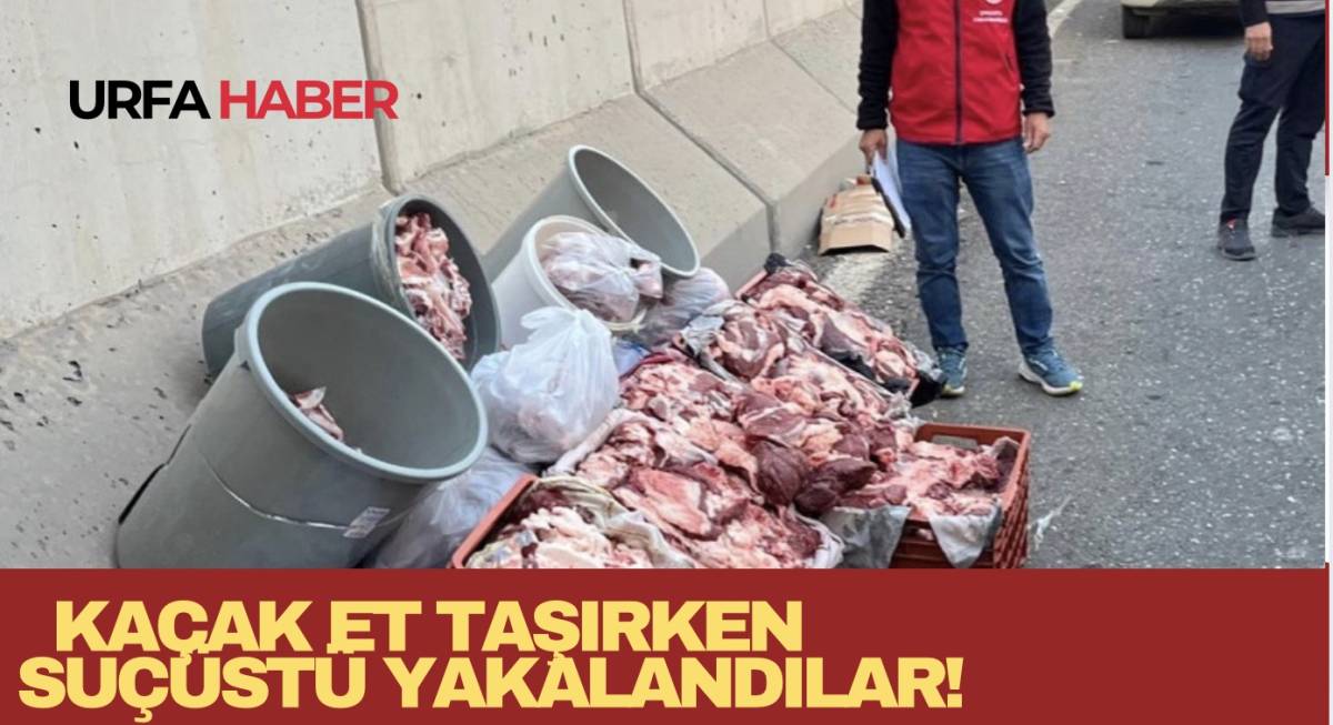 Kaçak Et Taşırken Suçüstü Yakalandılar!