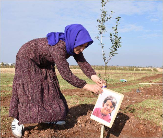 Şanlıurfa Kadın Dayanışması Fidanlarla Yeşerdi