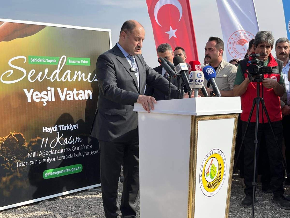 Milli Ağaçlandırma Günü Coşkusu Urfa’yı Yeşillendirdi