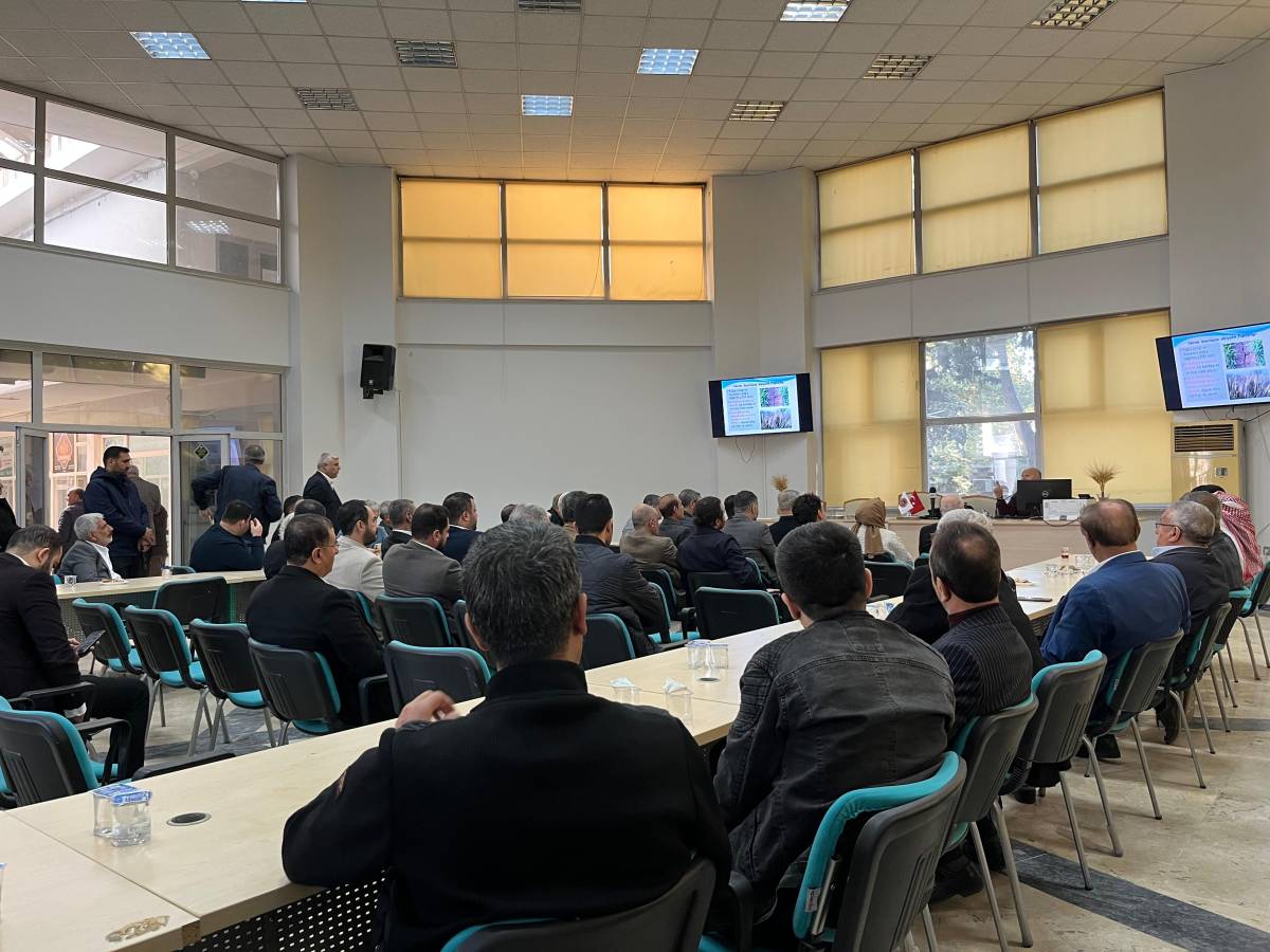 Şanlıurfa’da Buğday Ve Arpa Tarımı Konferansına Yoğun İlgi