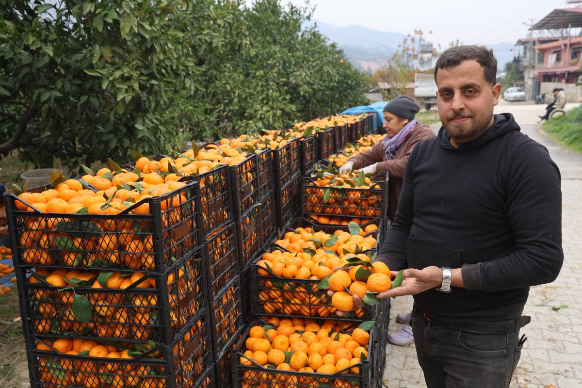Tarlada 2 TL, Markette 35 TL: Çiftçi Fiyat Uçurumuna Tepkili