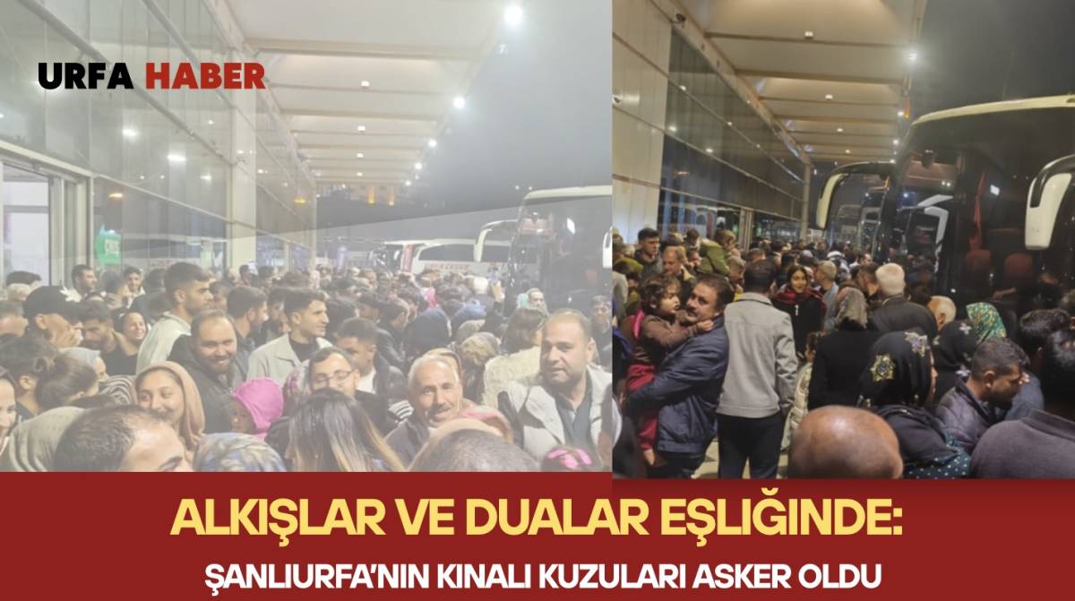 Şanlıurfa’nın Kınalı Kuzuları Asker Oldu