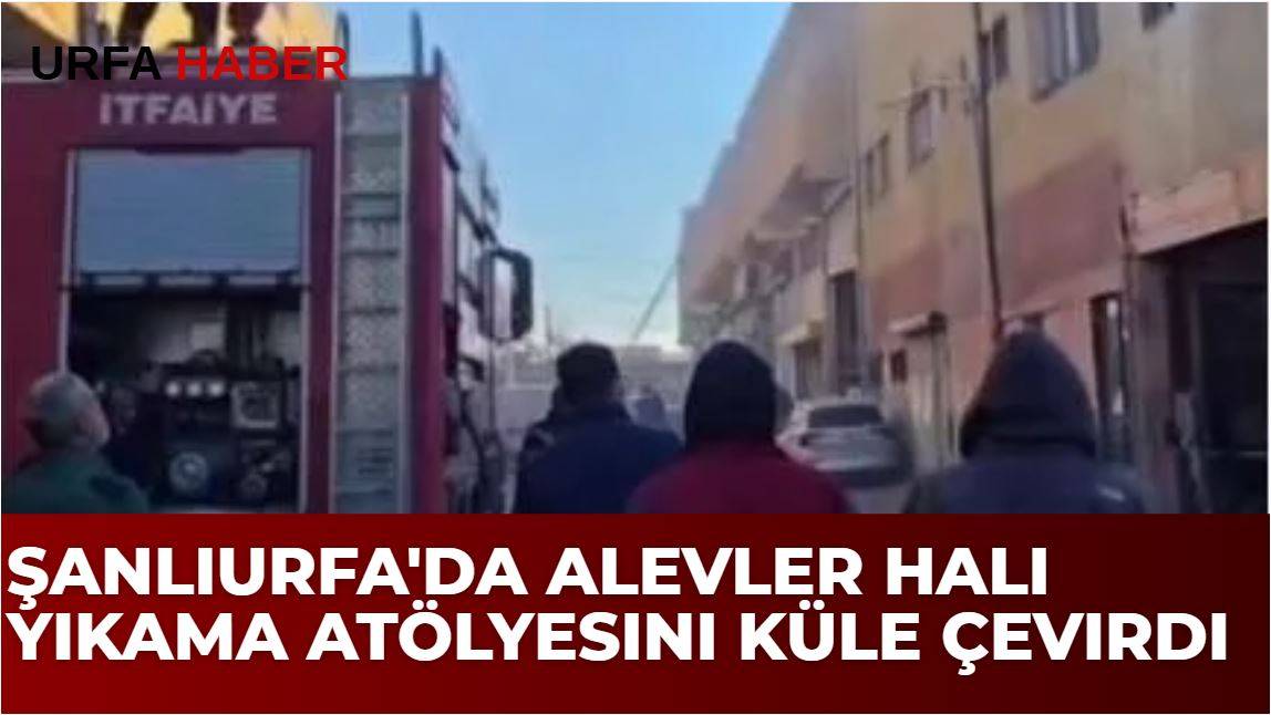 Şanlıurfa'da Alevler Halı Yıkama Atölyesini Küle Çevirdi