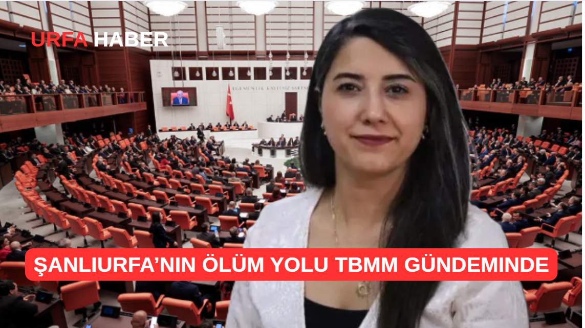 Şanlıurfa’nın Ölüm Yolu TBMM Gündeminde