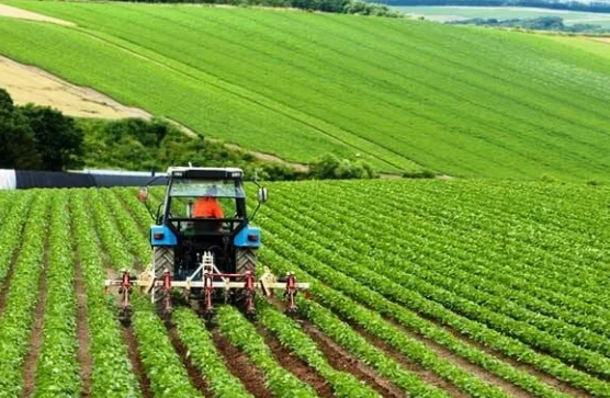 Üretici Alarm Verdi: Güneydoğu’da Tarım Tehlike Altında