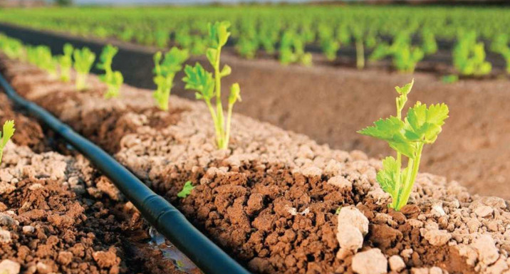 Üretici Alarm Verdi: Güneydoğu’da Tarım Tehlike Altında