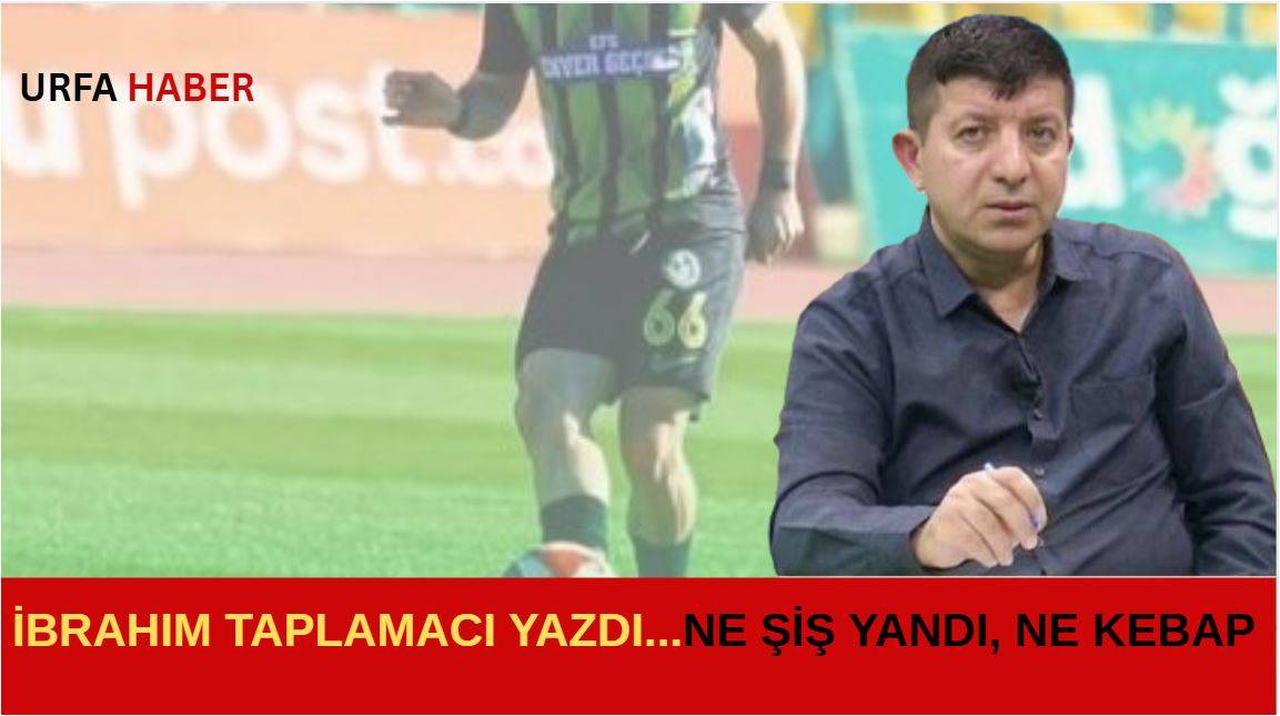NE ŞİŞ YANDI, NE KEBAP
