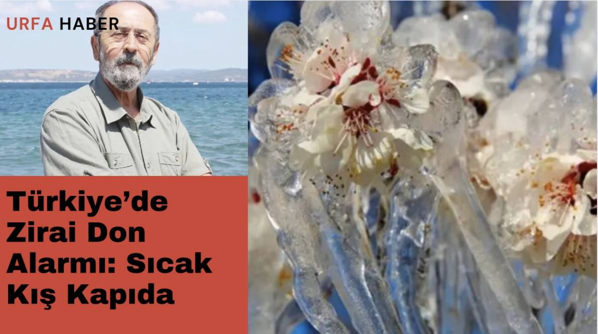 Türkiye’de Zirai Don Alarmı: Sıcak Kış Kapıda