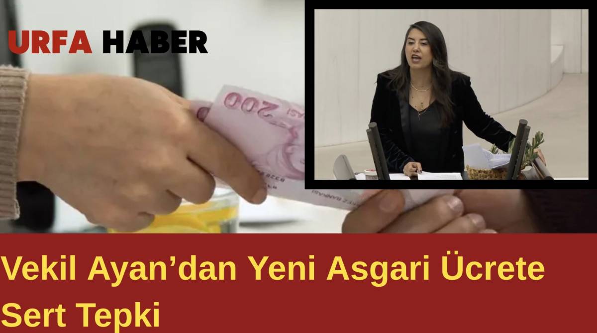 Vekil Ayan’dan Yeni Asgari Ücrete Sert Tepki