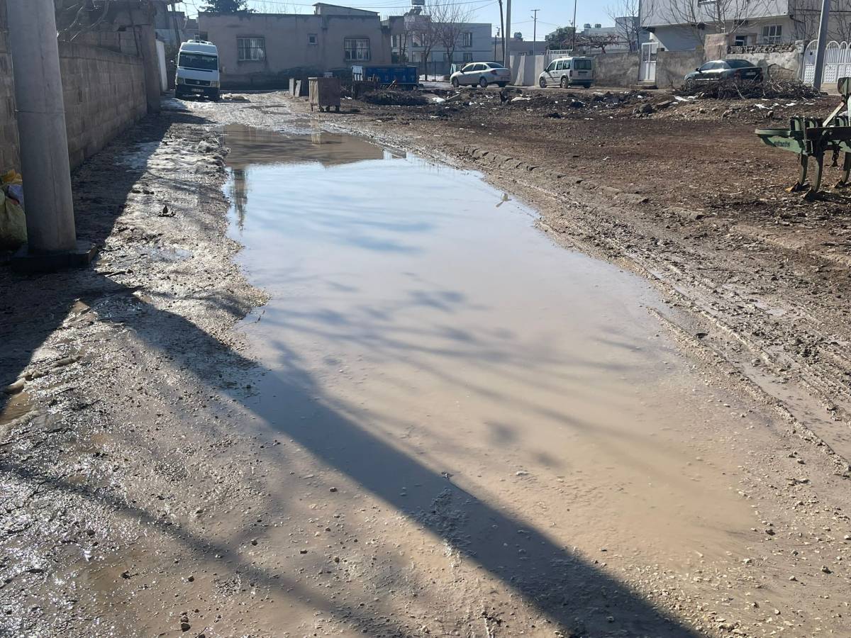 Vatandaş isyan etti! Suruç'taki mahalle kaderine terk edilmiş!
