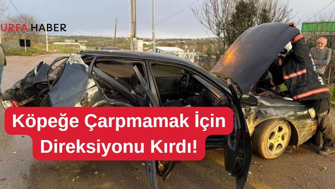 Köpeğe Çarpmamak İçin Direksiyonu Kırdı!