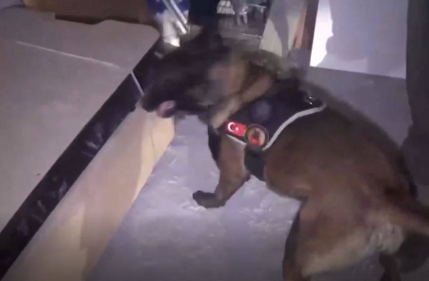 Görsel