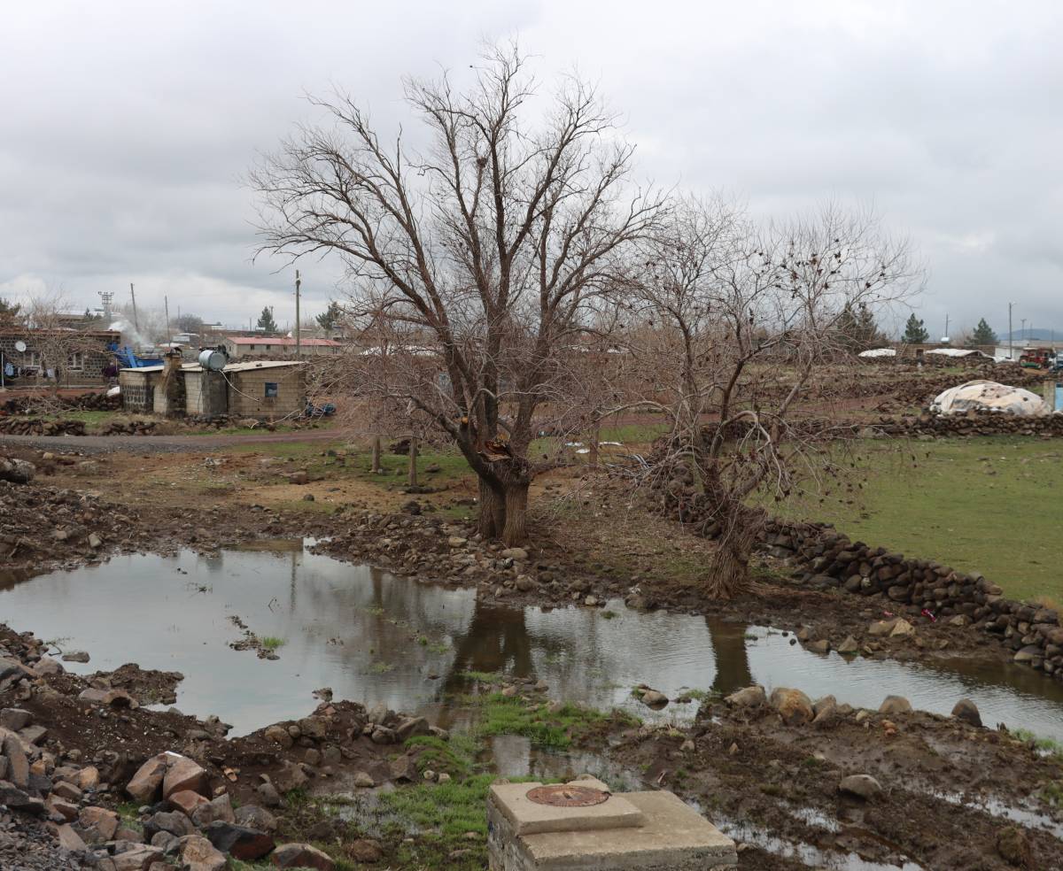 Şanlıurfa'da etkili olan yağışlar çiftçinin yüzünü güldürdü