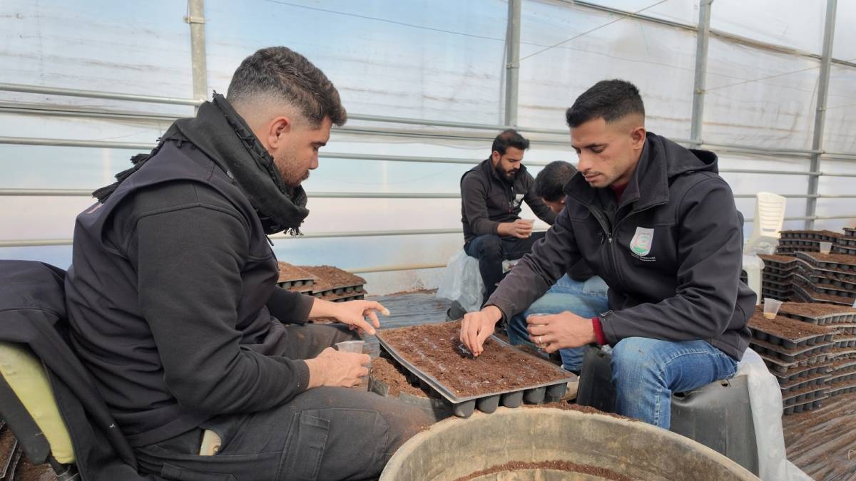 Şanlıurfa’da 1 milyon fide üretiliyor!