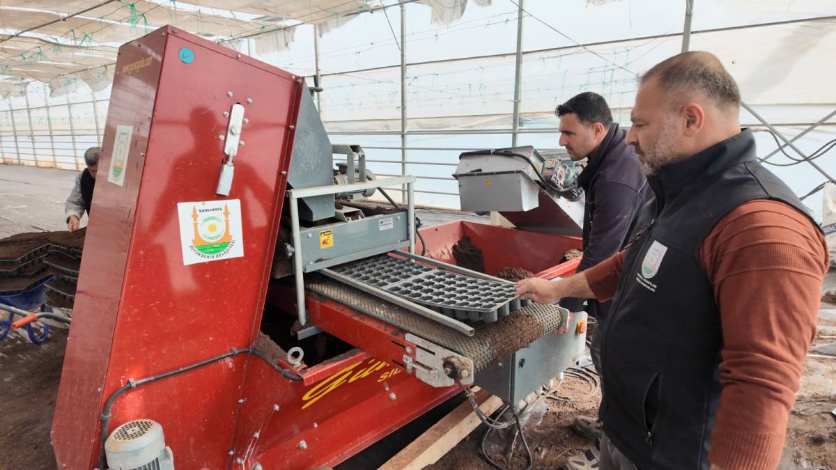 Şanlıurfa’da 1 milyon fide üretiliyor!