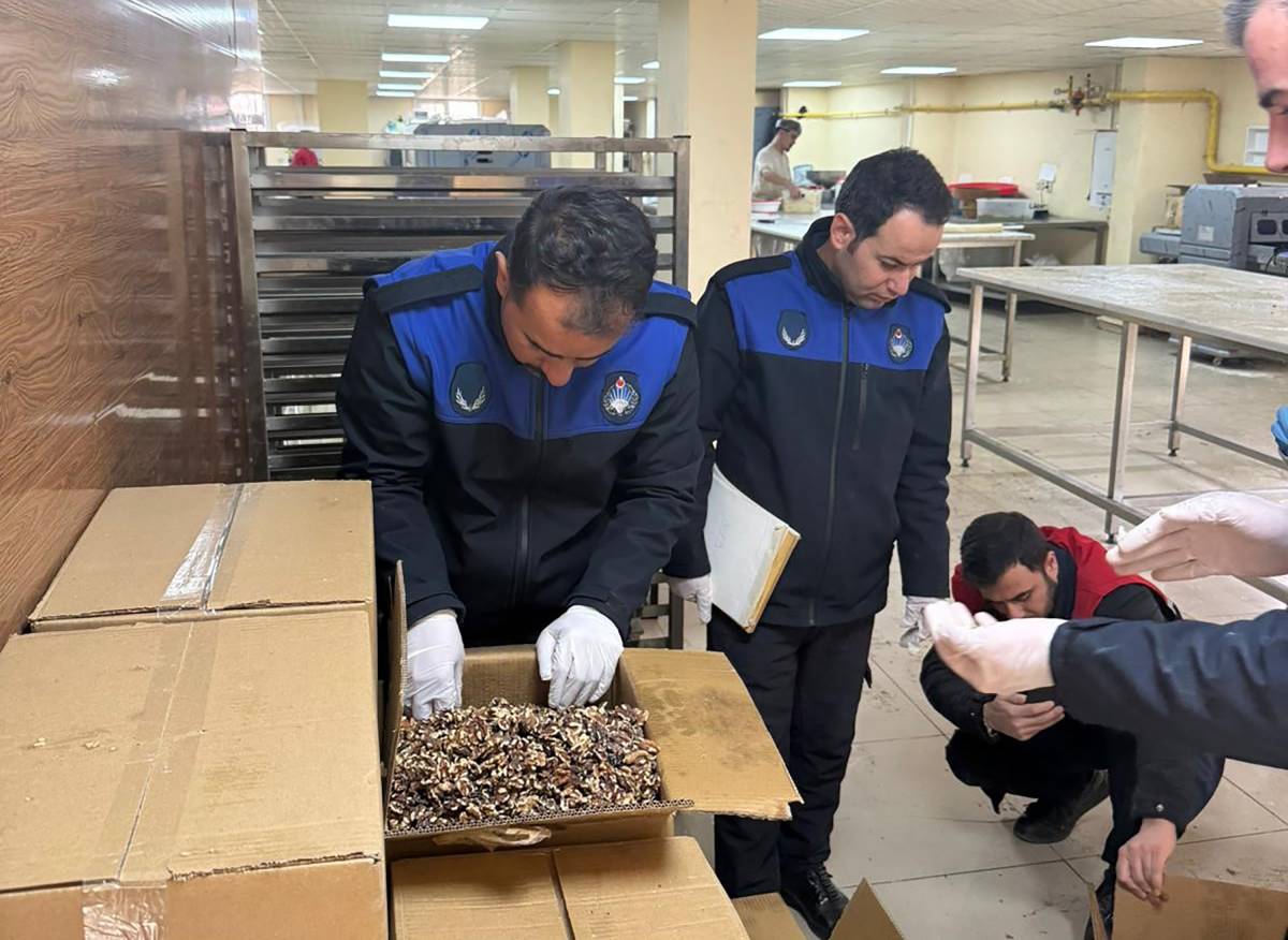 Urfa'da 180 kilogram küflenmiş ceviz ele geçirildi!