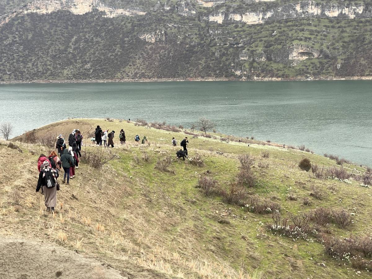 Urfa'da bahar çiçeği nergisler doğaseverlerin ilgi odağı oldu!