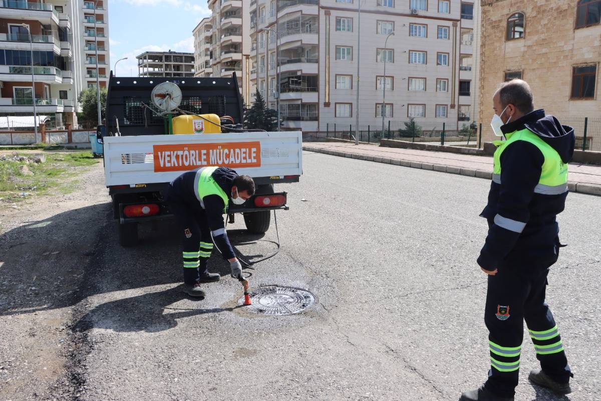 Büyükşehir’den sivrisinek ve haşereyle mücadele!