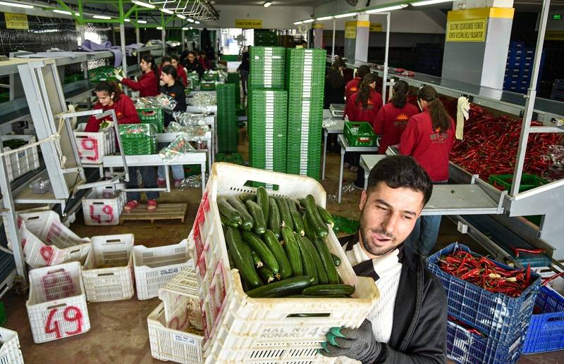 Savaşı sonrası Türkiye'den Rusya'ya sebze ihracatı arttı