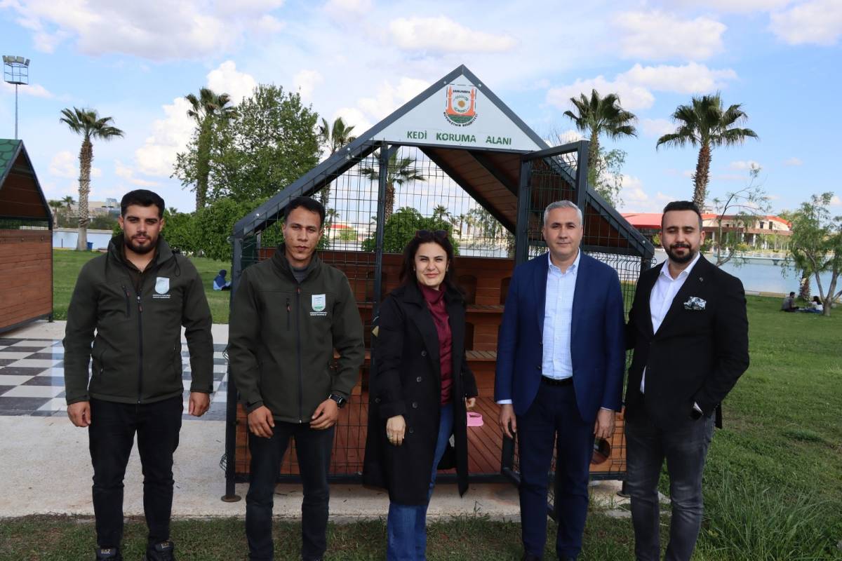 Büyükşehir'den sokak kedilerine özel yaşam alanları!