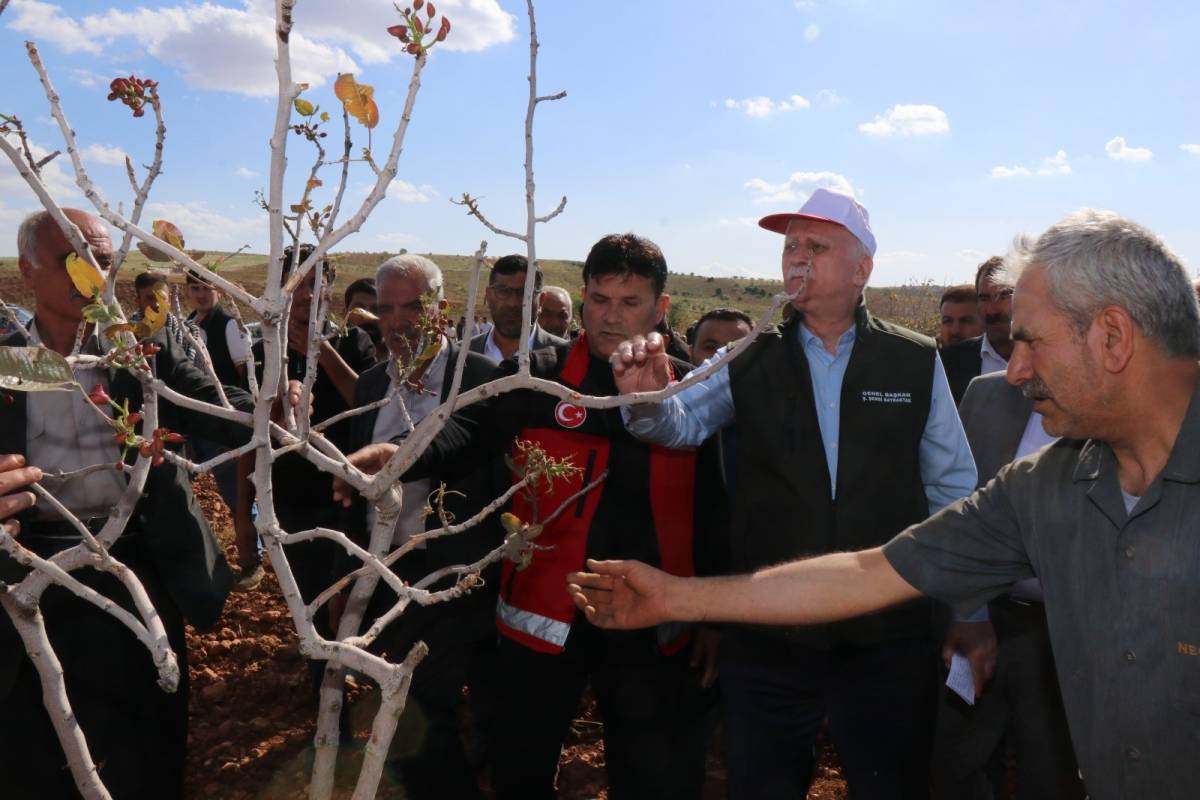 Şanlıurfa'da afet sonrası inceleme: TZOB çiftçilerin taleplerini Cumhurbaşkanlığına iletecek!