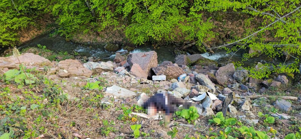 Kan donduran olay: Erkek cesedi bulundu!