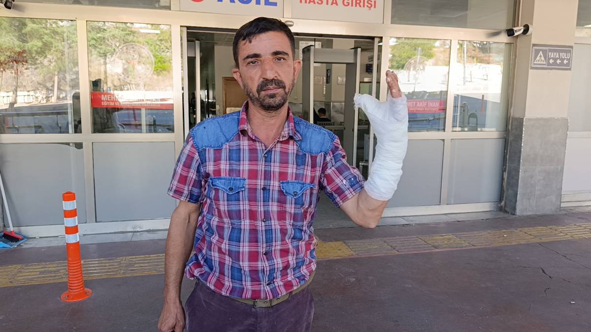 Şanlıurfa'da 232 acemi kasap hastanelik oldu!
