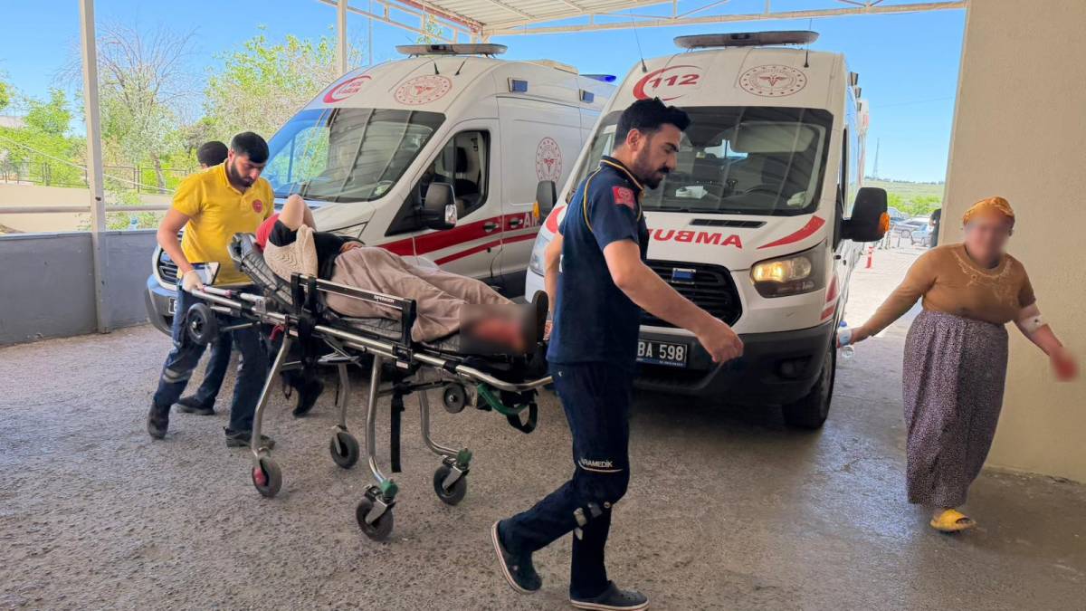 Urfa'da yılanı öldürmek isterken 5 kişiyi yaraladı!