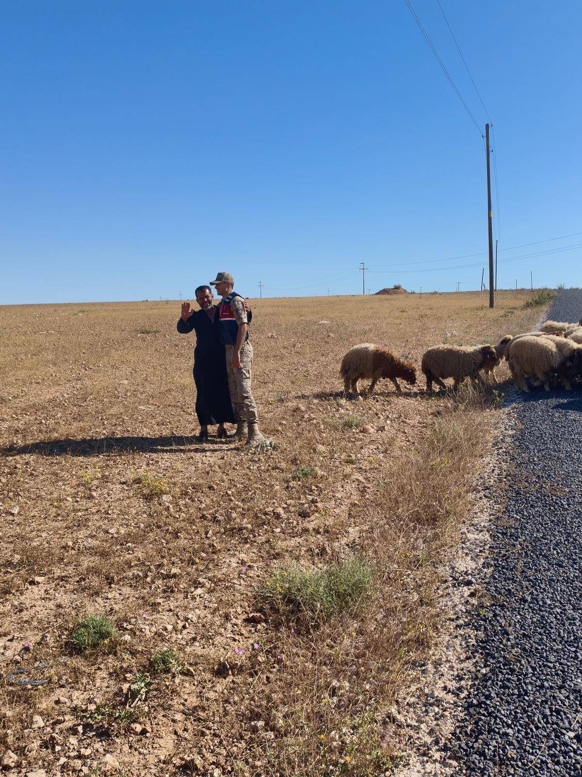 Urfa’da kayıp sürü JASAT ve drone desteğiyle bulundu!