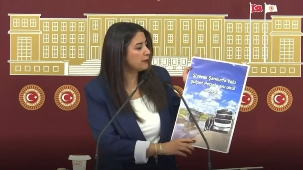 Vekil Ayan, Siverek-Şalıurfa yol sorununu Meclis'e taşıdı!