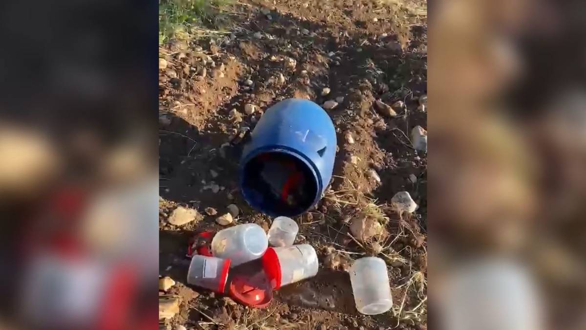 Şanlıurfa'da 21 cenin skandalı: Şüpheliler serbest!