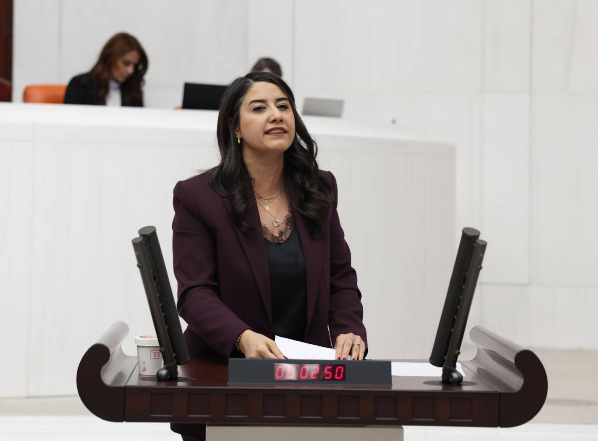 DEM Parti Milletvekili Ayan'dan Şanlıurfa'daki hekim eksikliğine tepki!